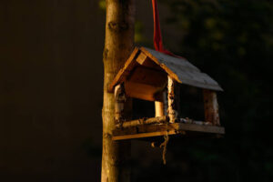 Vogelfutterhaus im Hausgarten
